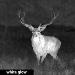 Spectra™ TI 35 Wärmebildgerät – Bild 12