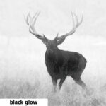 Spectra™ TI 35 Wärmebildgerät – Bild 6