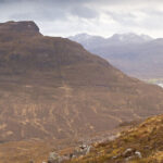 Tac™ 1-6x24i HSi Zielfernrohr – Bild 4